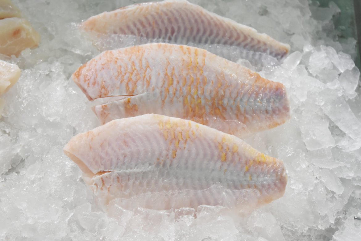 зберігання риби