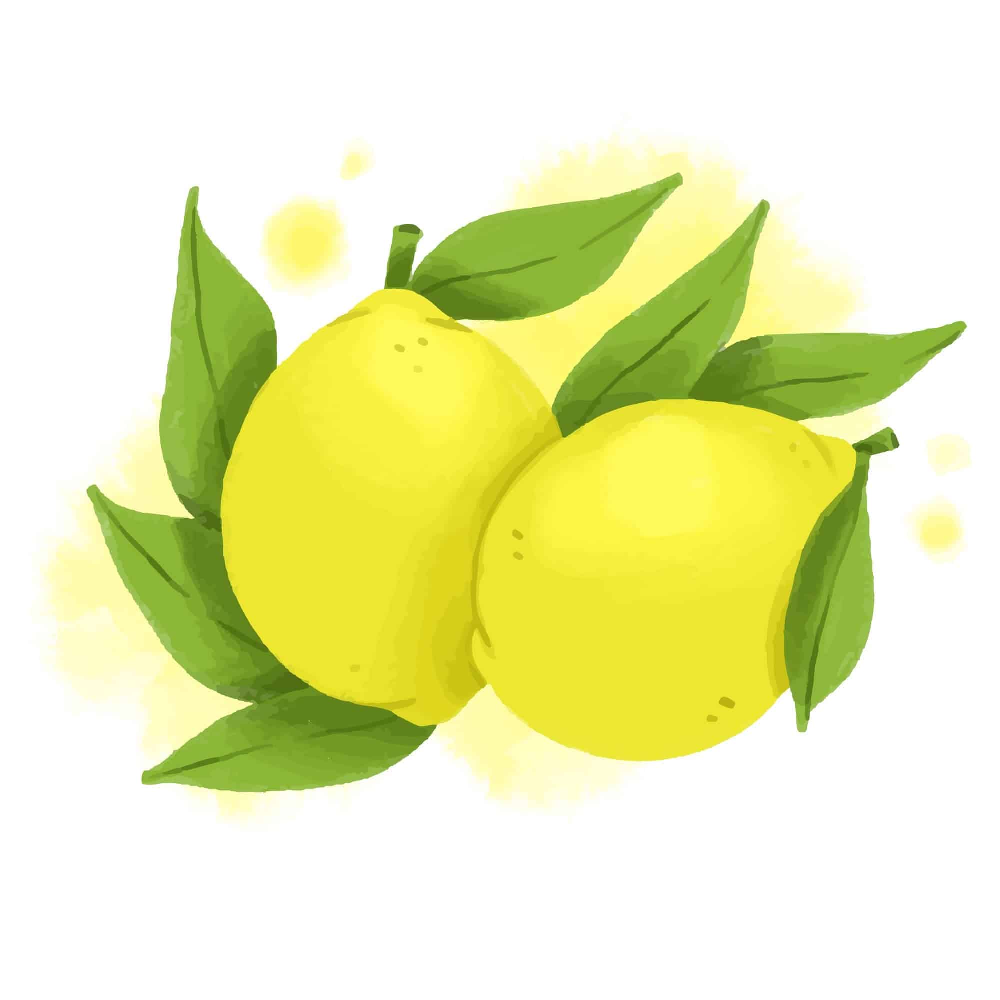 запах лимона сприяє розумовій активності