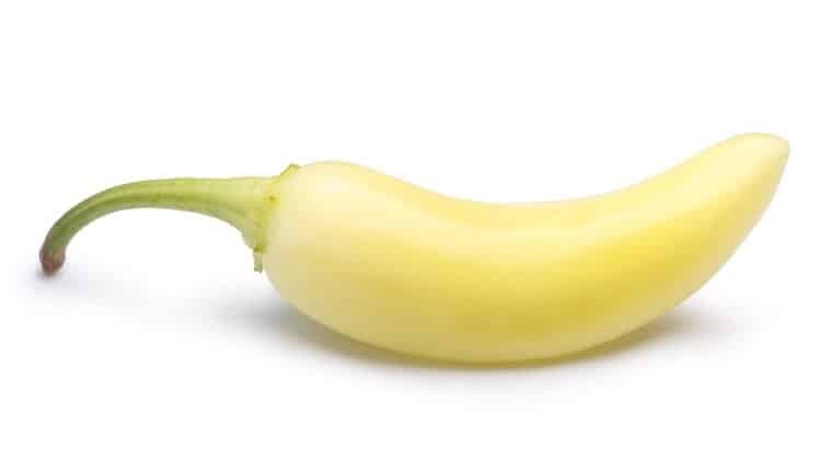 A yellow banana pepper with a mild, tangy flavor.