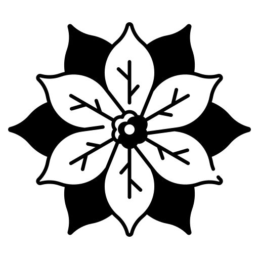 Догляд за пуансетією вдома