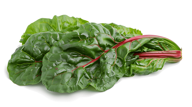 Свіже листя мангольду з широкими зеленими пластинами і світлими стеблами – листова зелень для приготування страв.
